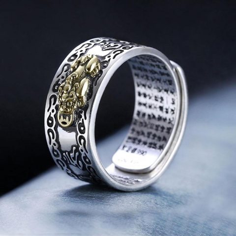 2_Pixiu-Charms-Ring-Feng-Shui-Amulet-Wealth-Lucky-Open-Adjustable-Ring-Buddhist-Jewelry-for-Women-Men