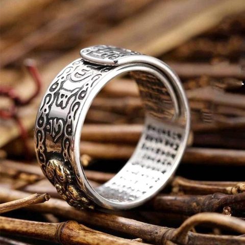 3_Pixiu-Charms-Ring-Feng-Shui-Amulet-Wealth-Lucky-Open-Adjustable-Ring-Buddhist-Jewelry-for-Women-Men